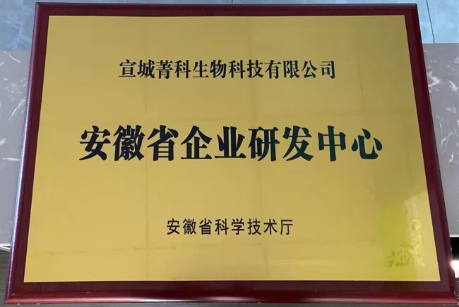 Xuancheng Jingke Provincial Enterprise R&D Center