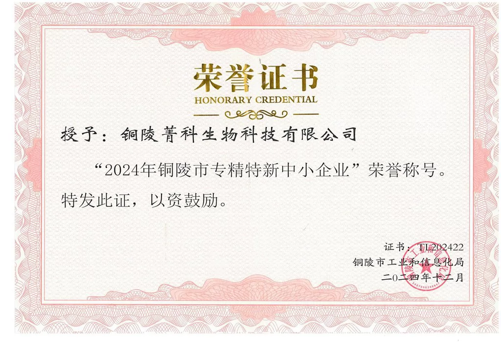 Tongling Jingke Municipal Specialized, Refined, Unique and Innovative Small and Medium-sized Enterprise