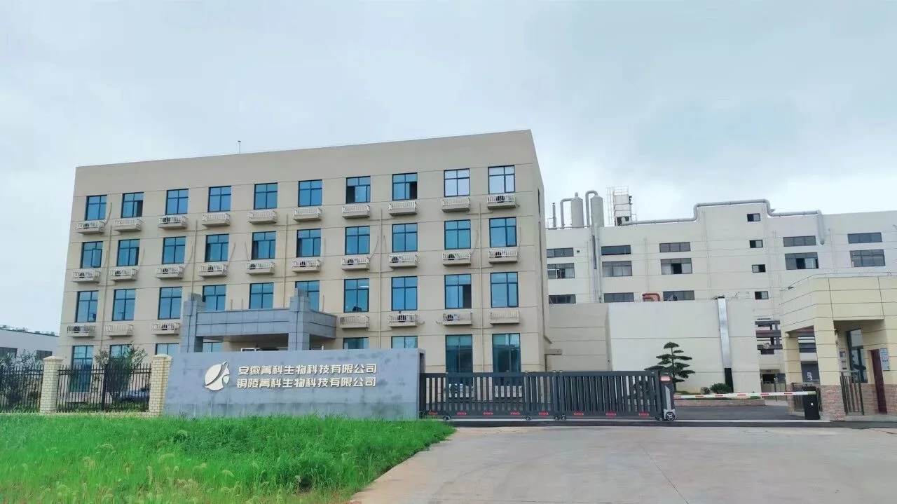 下载 (2).png